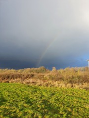 Come chat hiking with me!