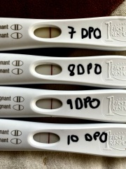 Faint lines on a FRER after miscarriage