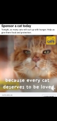 Even Cat Treats Are Affected