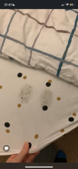 Hundreds of cats, thousands of cats, millions and billions and trillions of cats