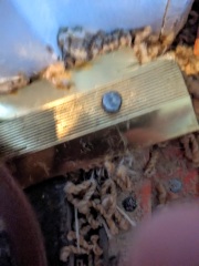 Wonder if I've driven a nail through a radiator pipe?