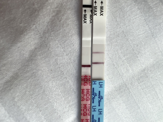 Pregnancy test - have I got line eyes?