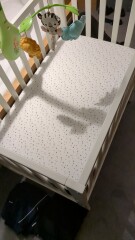 Due March 2023 - Thread 6