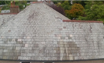To reroof? Pictures attached