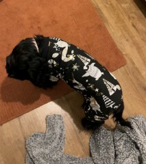 Wearing a jumper overnight in a cold room