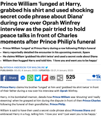 William and Harry at Prince Philips Funeral