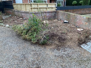 I'm having a load of cypress trees removed