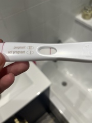 Line eyes 8 dpo 