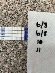 Do these tests look like they're getting darker or not really?