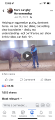 Has there been a thread about natural horsemanship, liberty etc v more traditional training methods?  