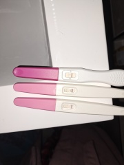Test line lighter then yesterday 