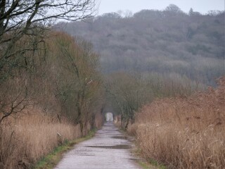 Thread 44 GCSE Covid Cohort - Countdown to Christmas & New Year 