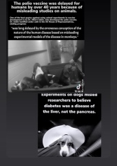 MBR ACRES - evil beagle breeders