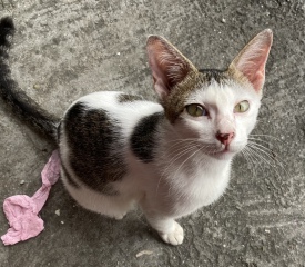 Thread 4 - TalkExiles: "The Planet Goes On Being Round"