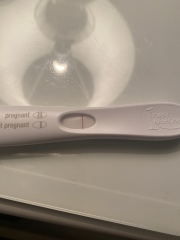 4 days late but bfp?