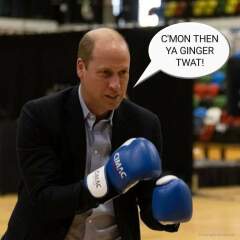 The gloves are truly off