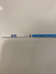 January Testers (TTC September/October🎃🍂)