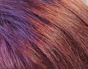 Fix my hair colour fail?