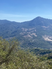 Coastal town to explore Andalucia?
