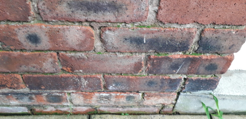 How much for a damp proof course?