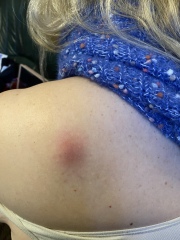 Cultivating a Sporner’s Delight