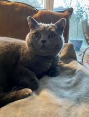 Thread 4 - TalkExiles: "The Planet Goes On Being Round"