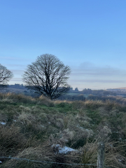 Places to live for off road running/biking