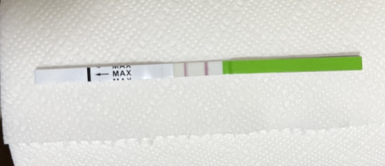 Positive ovulation test 10 days after coming off the pill