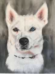 Pet portraits - brutally honest opinions needed 
