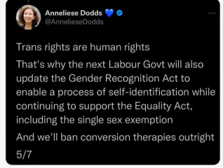The hypocrisy of Anneliese Dodds and Labour