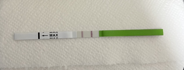 Positive ovulation test 10 days after coming off the pill