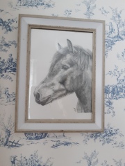 Please can we have a thread to show pictures of our favourite things in our houses?  