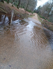 Come chat hiking with me!