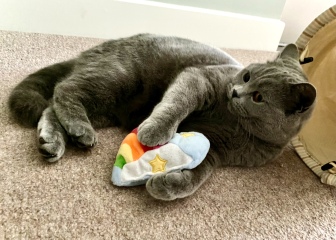 Thread 4 - TalkExiles: "The Planet Goes On Being Round"