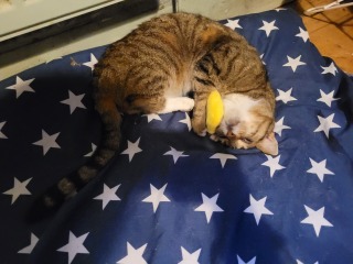 Come and tell me your dull and unexciting news 24: Calmly through the day 