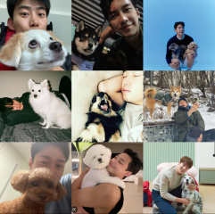 MsLatté’s Daebak Cybercafé (Kdrama addicts #38): Where we’re still reeling from the 2022 top 5 scoring Jdrama First Love v Alchemy of Souls kerfuffle. What can I say? Takeru Satoh broke our scoring rubric.