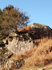 Come chat hiking with me!