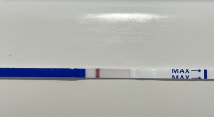 Dodgy tests/ evap/ or BFP?
