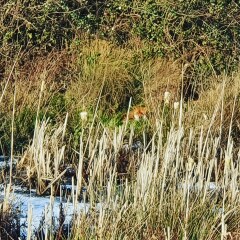 Come chat hiking with me!