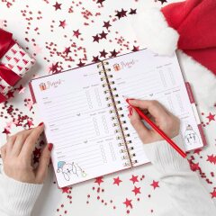 Countdown to Christmas 2023: get past the post-Christmas slump by thinking about the next one! (Thread 1.)