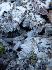 Any Witches Here?- Part 18