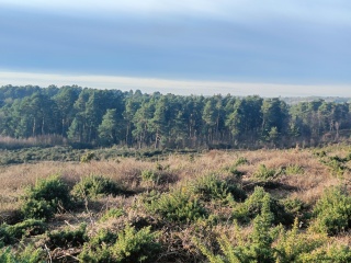 Come chat hiking with me!