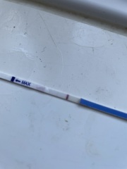 Are these evap lines or positives?