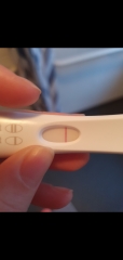 7/8DPO Pains With a Cold