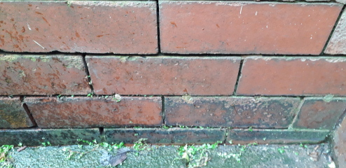 How much for a damp proof course?