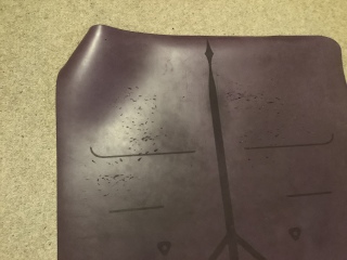 CENTER YWA January 2023: It's here! Support thread for all 