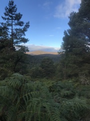 Places to live for off road running/biking