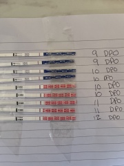 Lack of progress on pregnancy tests. 