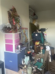 Hoarding? Depression?