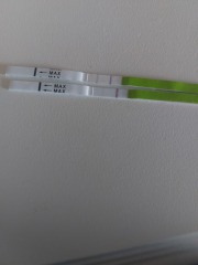 Ovulation test help 